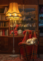 " ФРЕЯ" Пазл 1000 элемент. PZL- 1000/ 46 Вечерний уют